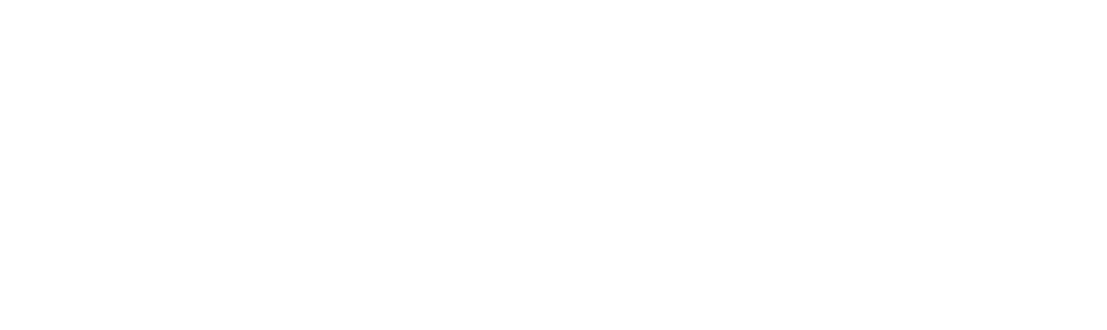 Jonas Neo Logo